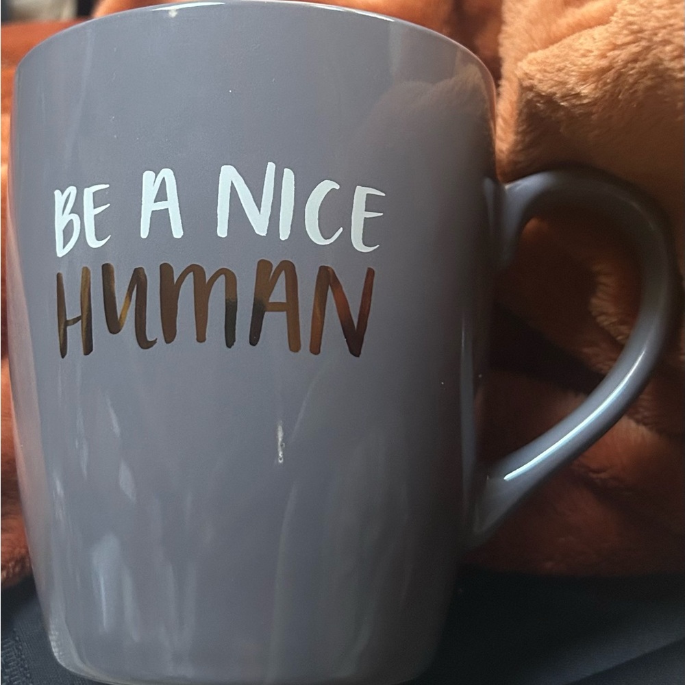 Be a Nice Human 27oz Mug